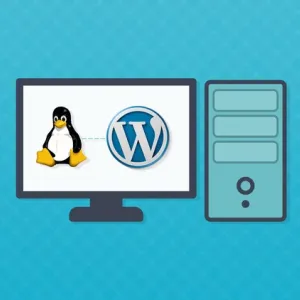 WordPress 企业级主机一年服务费