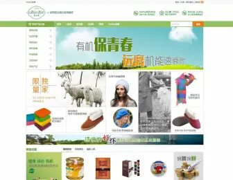 WordPressWooCommerce跨境電商網(wǎng)站